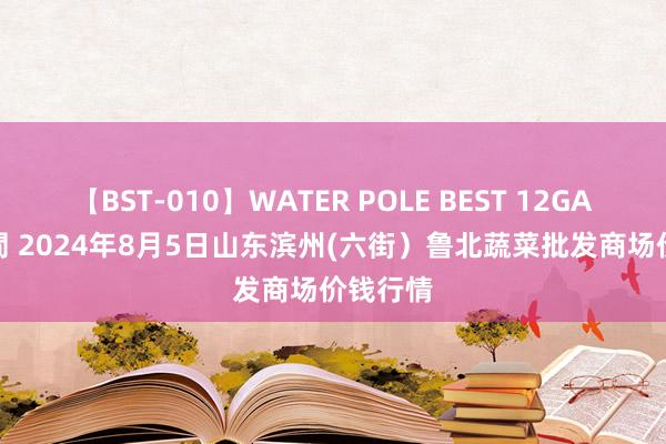 【BST-010】WATER POLE BEST 12GALs 8時間 2024年8月5日山东滨州(六街）鲁北蔬菜批发商场价钱行情