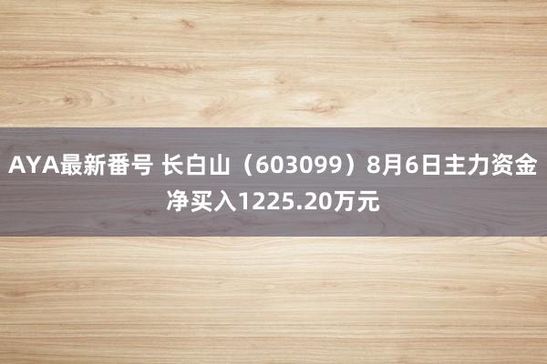 AYA最新番号 长白山（603099）8月6日主力资金净买入1225.20万元