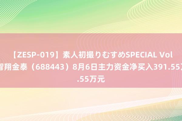 【ZESP-019】素人初撮りむすめSPECIAL Vol.3 智翔金泰（688443）8月6日主力资金净买入391.55万元