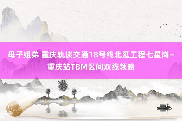 母子姐弟 重庆轨谈交通18号线北延工程七星岗—重庆站TBM区间双线领略