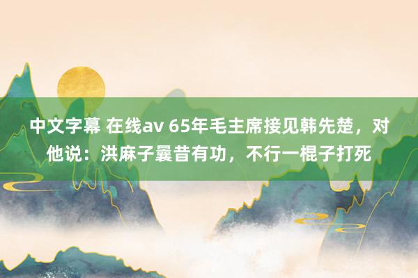 中文字幕 在线av 65年毛主席接见韩先楚，对他说：洪麻子曩昔有功，不行一棍子打死