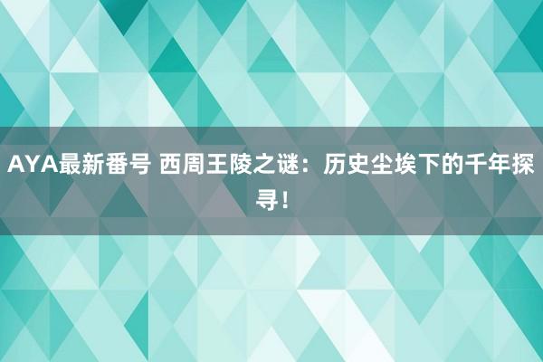 AYA最新番号 西周王陵之谜：历史尘埃下的千年探寻！