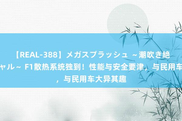 【REAL-388】メガスプラッシュ ～潮吹き絶頂スペシャル～ F1散热系统独到！性能与安全要津，与民用车大异其趣