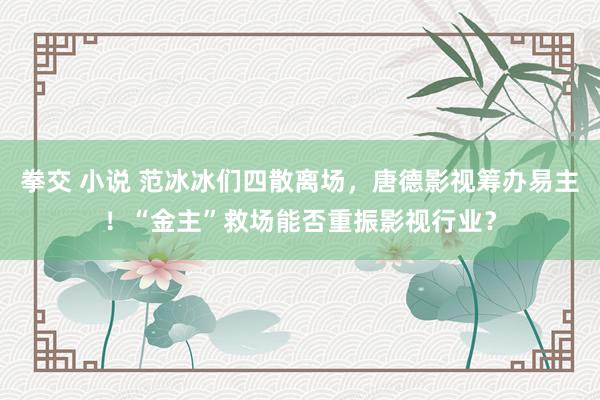 拳交 小说 范冰冰们四散离场，唐德影视筹办易主！“金主”救场能否重振影视行业？