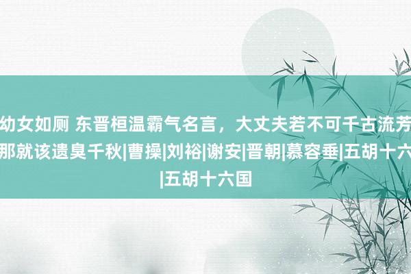 幼女如厕 东晋桓温霸气名言，大丈夫若不可千古流芳，那就该遗臭千秋|曹操|刘裕|谢安|晋朝|慕容垂|五胡十六国