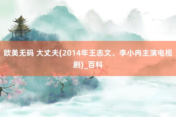 欧美无码 大丈夫(2014年王志文、李小冉主演电视剧)_百科